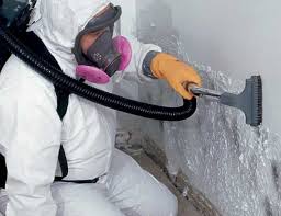 Best Residential Mold Inspection & Testing  in Ellisburg, NJ